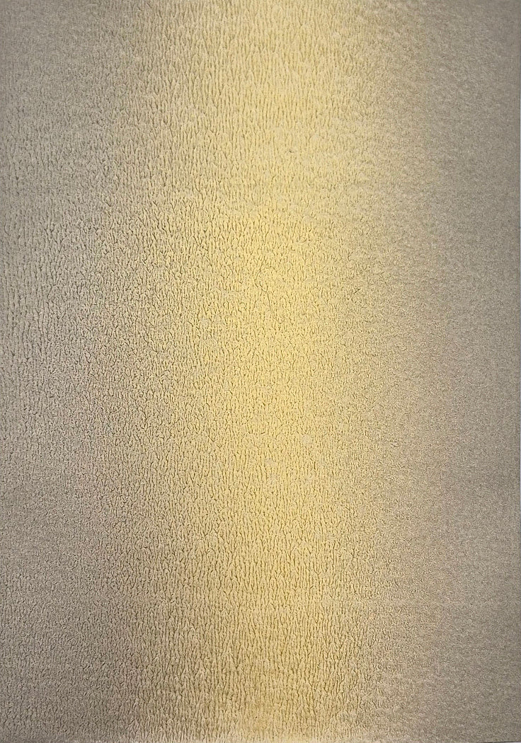 tribute to 'I Got You Babe - Sonny & Cher' - SH -