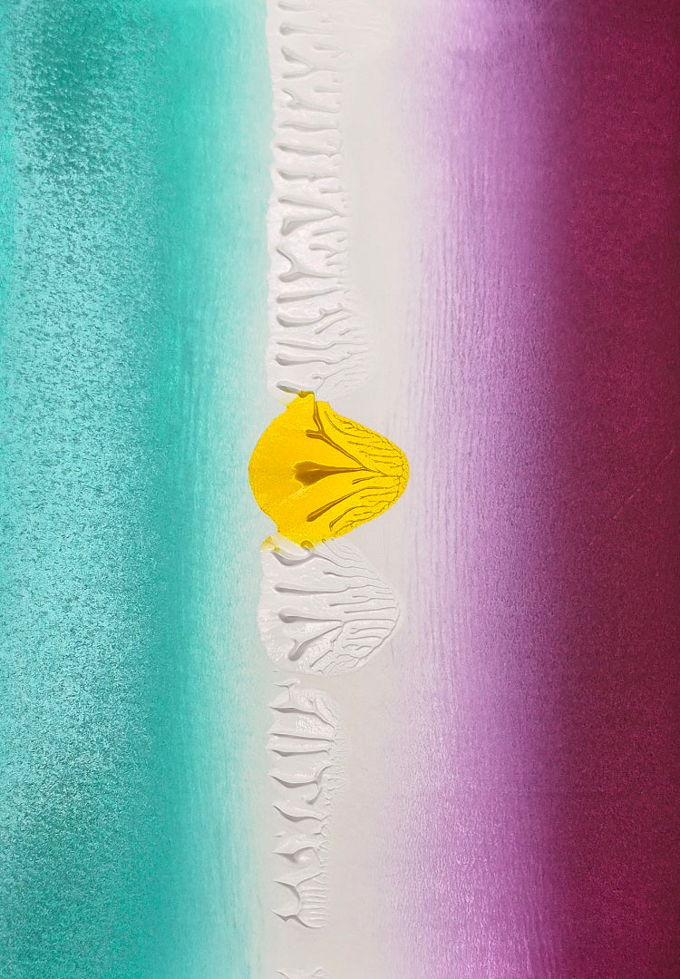 tribute to 'I'm Your Boogie Man - KC & The Sunshine Band' - HS -