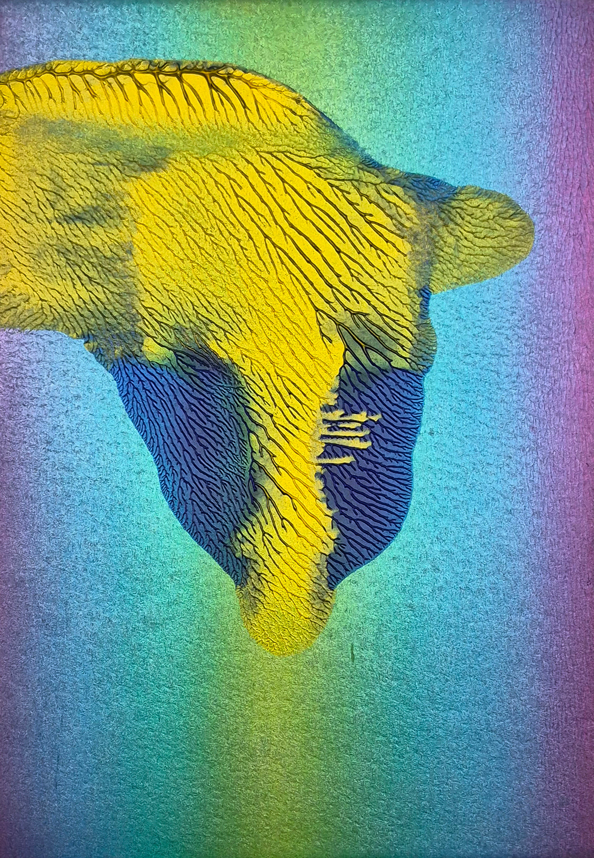 tribute to 'Suspicious Minds - Live in Las Vegas NV - August 1969 - Elvis Presley' - HS - 1=3